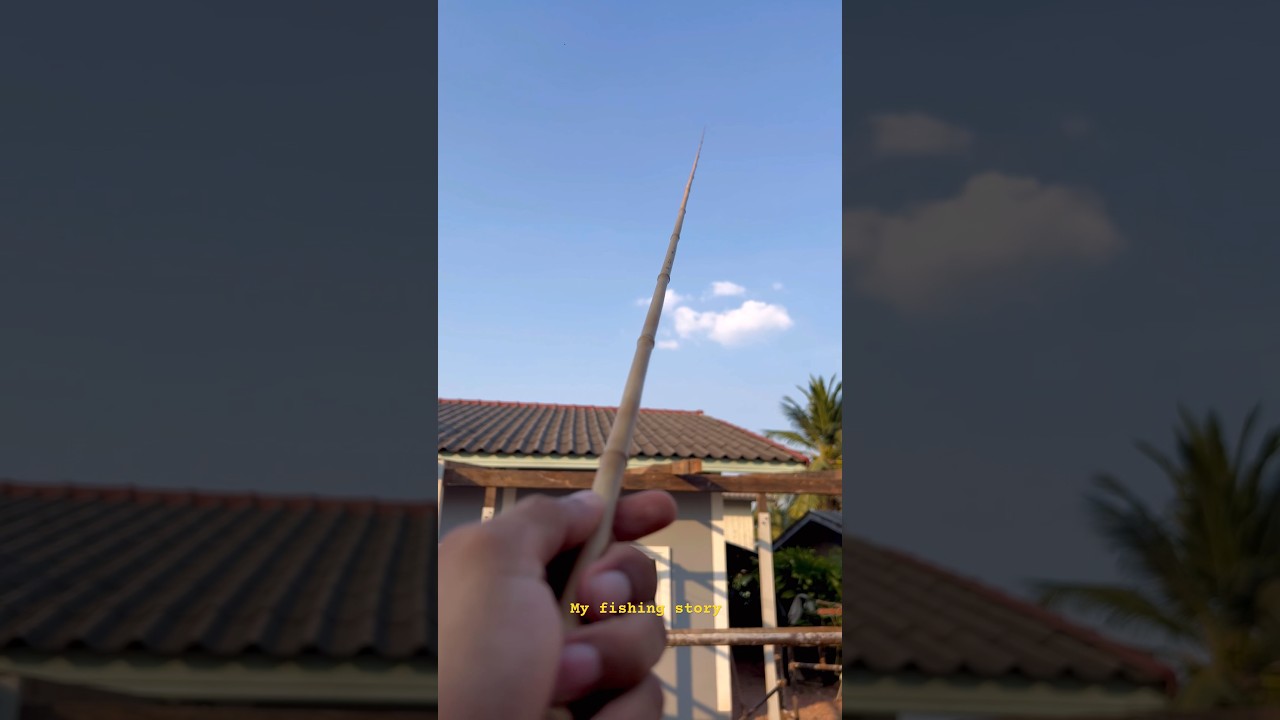 bamboo fishing rod 🎏🐟