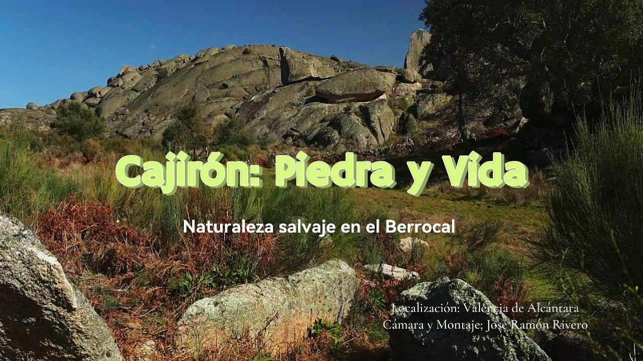 Entre Gigantes de granito: Dólmenes (Cajirón I y II) en el Berrocal de la Data.