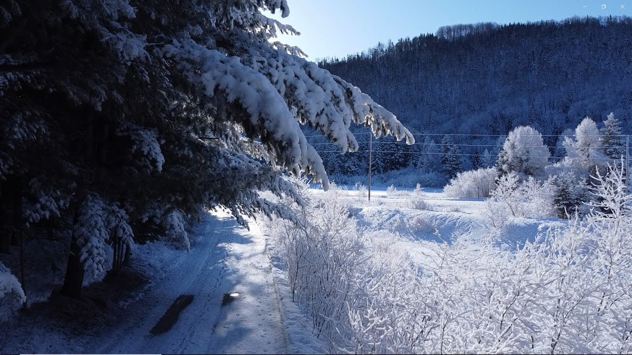 Winter's Beauty