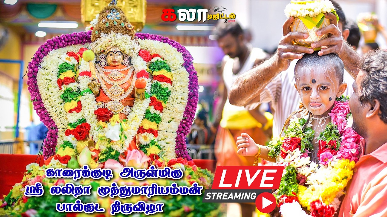 🔴LIVE: காரைக்குடி அருள்மிகு ஸ்ரீ லலிதா முத்துமாரியம்மன் பால்குட திருவிழா