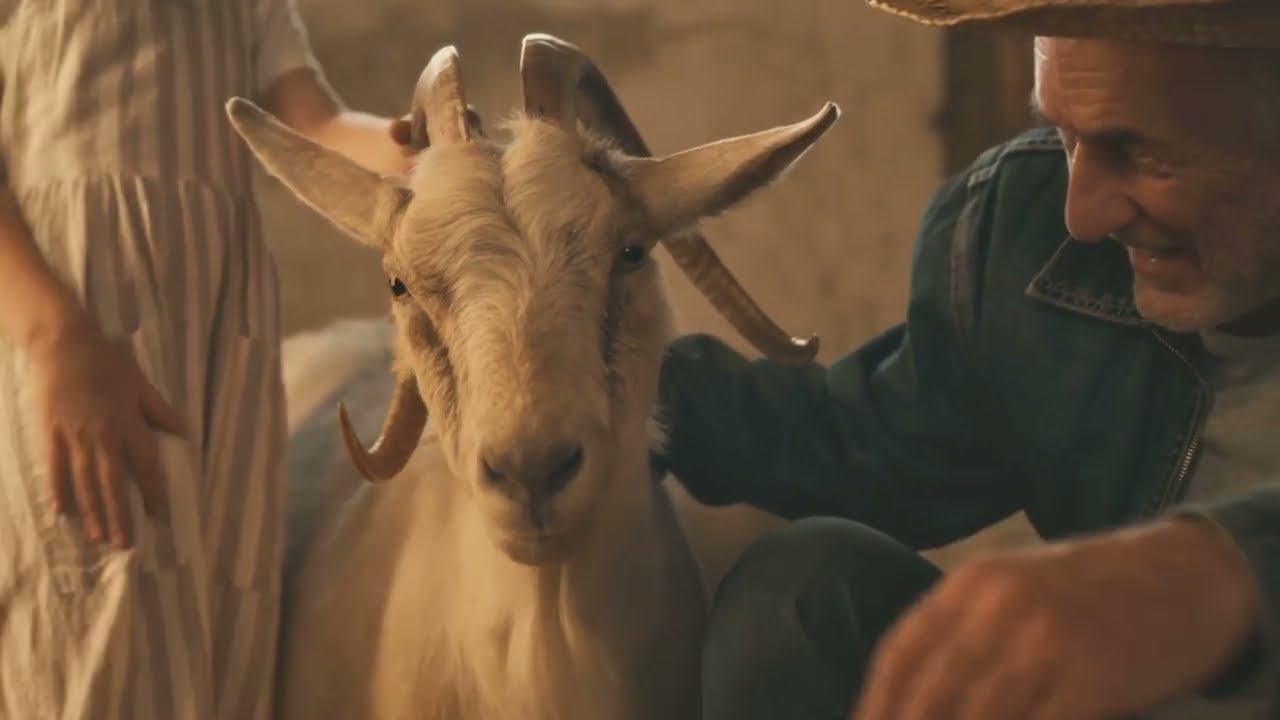 Goofy Goats!