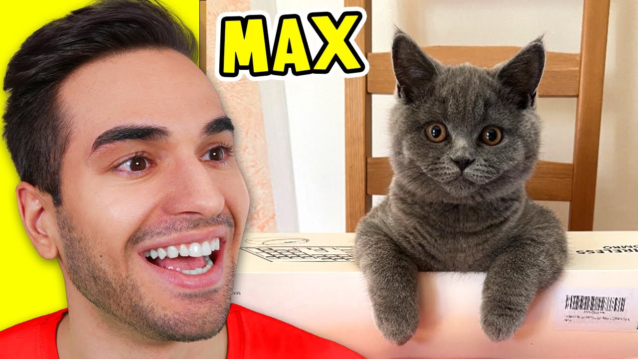 PORTIAMO IL NOSTRO GATTO MAX NELLA NUOVA CASA