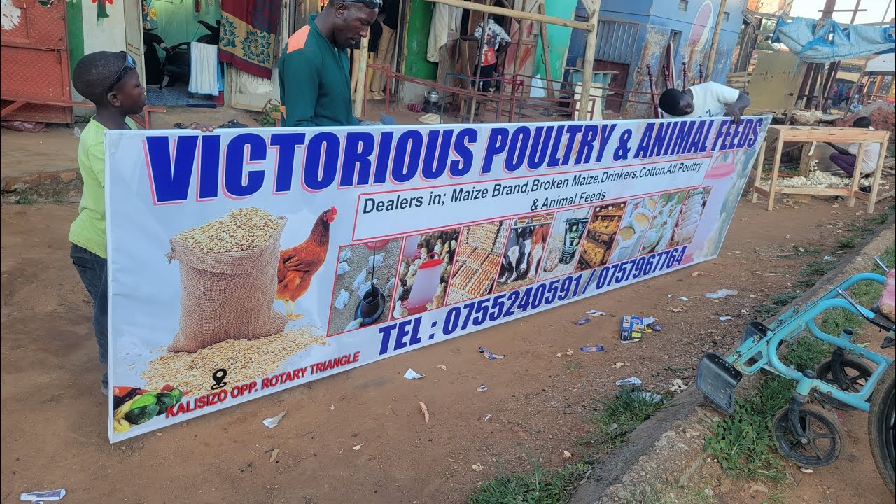 VICTORIOUS FEEDS KALISIZO for all your Animals and poultry feeds..
