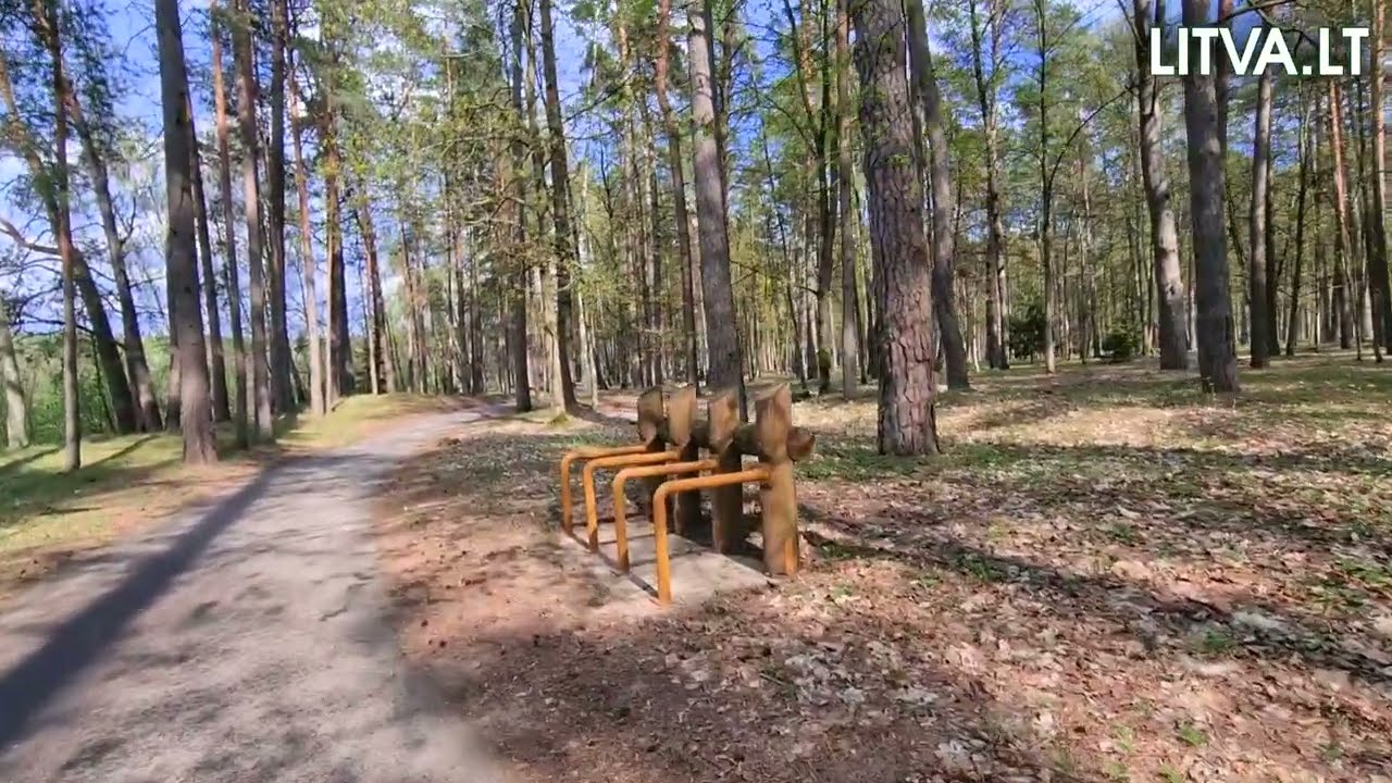 Санаторий "Беларусь" Друскининкай. Территория вокруг