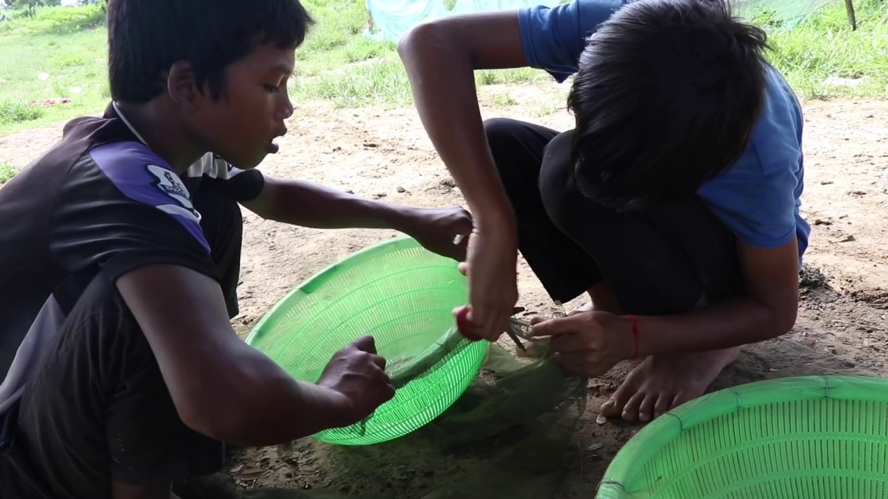 Awesome Creative Fish Trap Ideas With Big Baskets And Nets - Cambo Trap Baskets Net Fishing