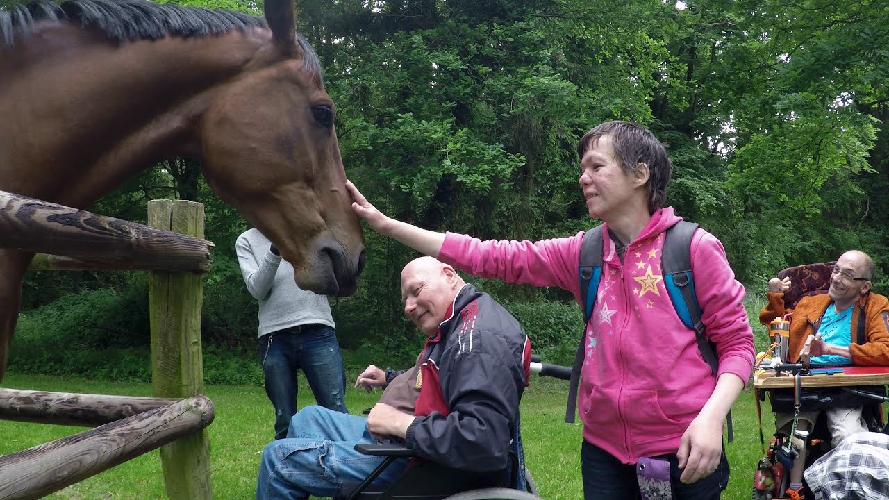 Landerlebnis alle(s) inklusiv, 2. Fassung