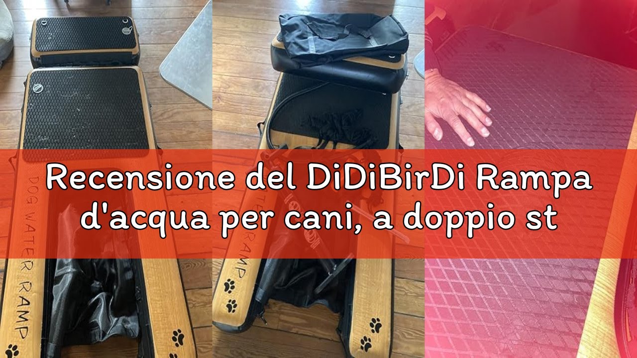 Recensione del DiDiBirDi Rampa d'acqua per cani, a doppio strato, extra large, gonfiabile, per pisci