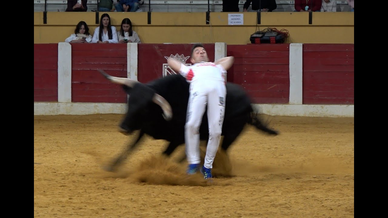 Íscar (27-09-25)  - Concurso de Cortes Libre Fiestas de San Miguel