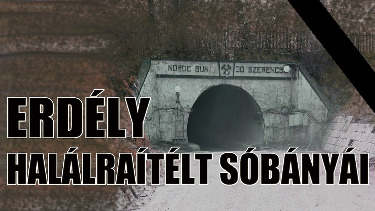 Erd&eacute;ly Hal&aacute;lra&iacute;t&eacute;lt S&oacute;b&aacute;ny&aacute;i