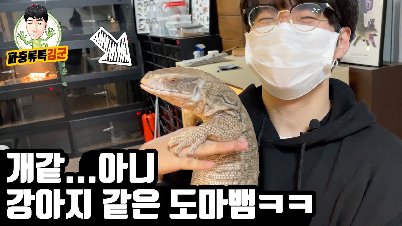 10살에 파충류에 입문해서 패기있게 21살에 샵 차리셨다네요 ㄷㄷㄷ 남양주 멈춰파충류 방문기!