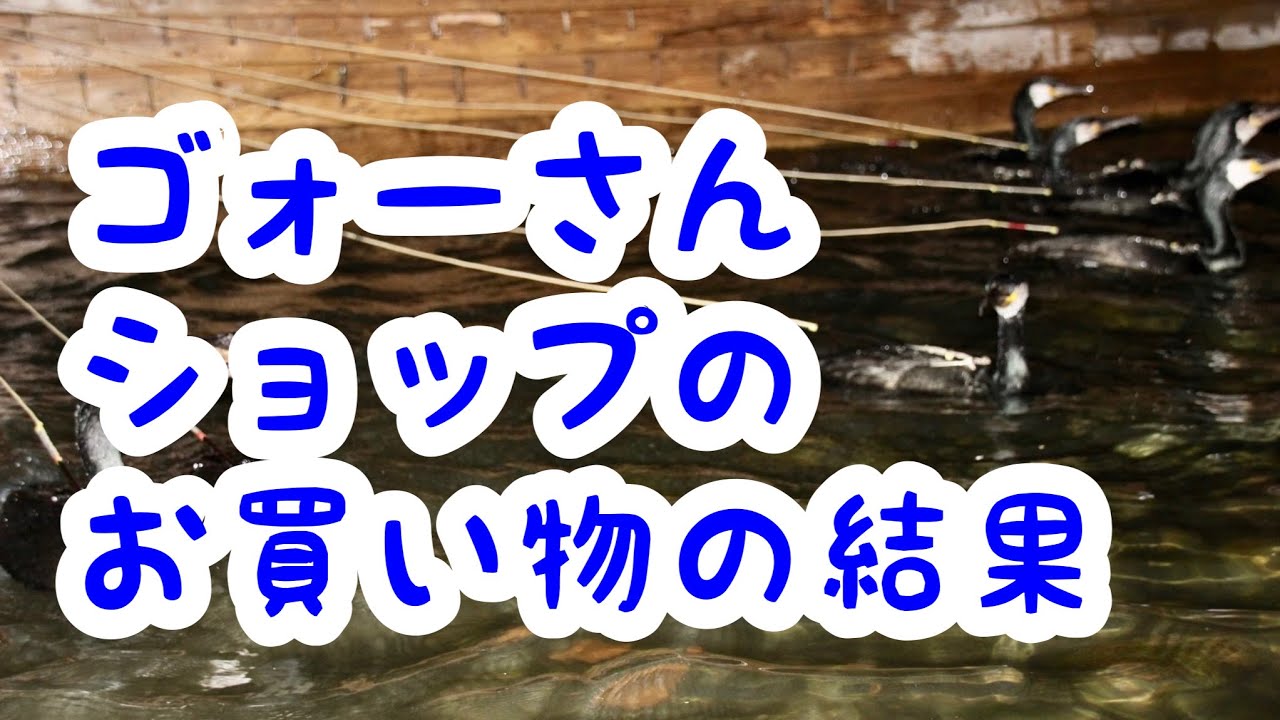ゴォーさんショップのお買い物の結果