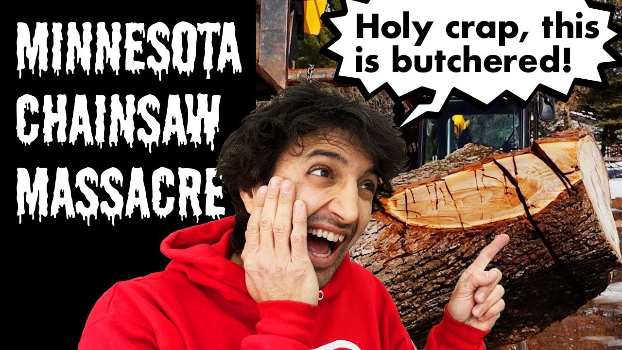 Can this massacred Walnut log produce hidden gems? 💎🪵