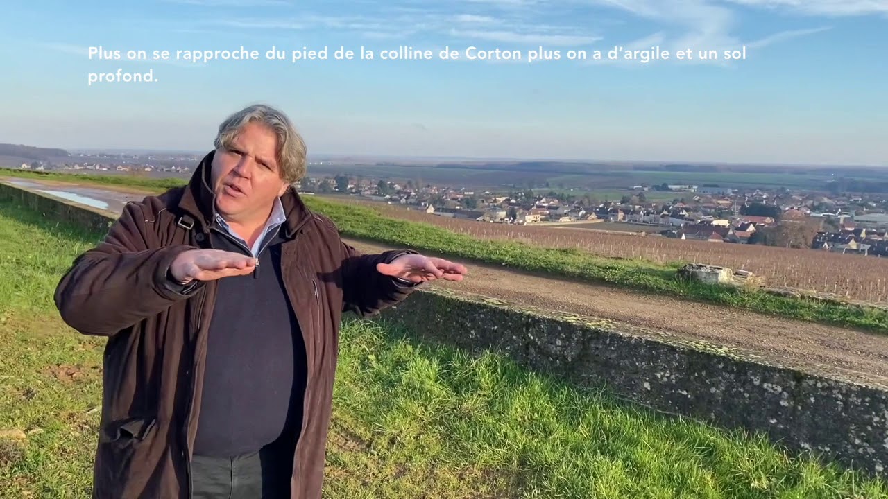 Welcome in my vineyard 17/23 Corton les Renardes