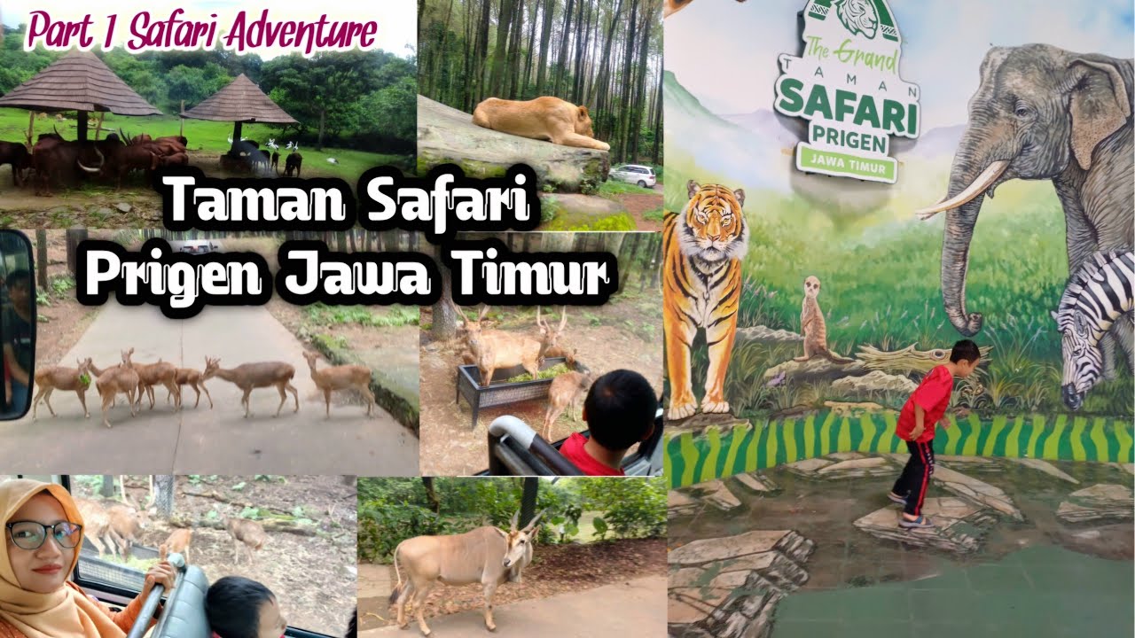 Taman Safari Prigen Jawa Timur || Part 1 Safari Adventure