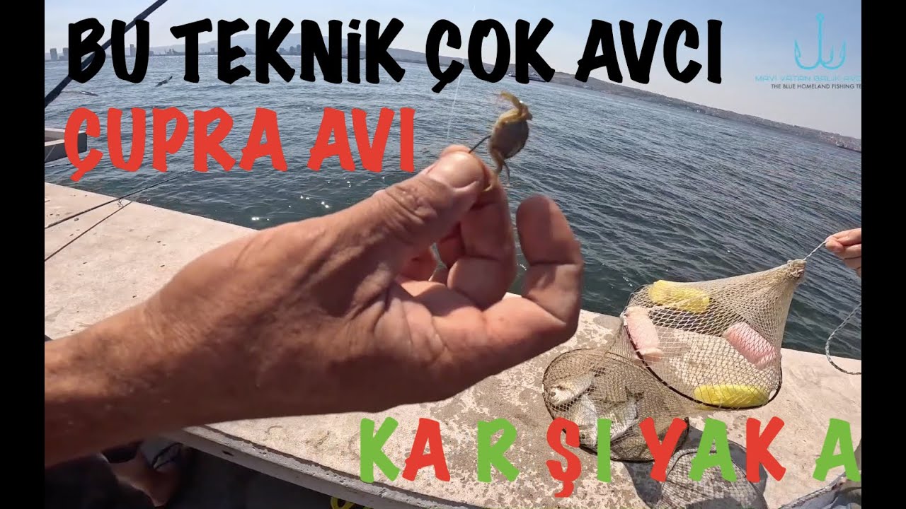 Yengeçle Çupra Yakalamak Artık Çok Kolay - İzmir Usulü Çupra Avı