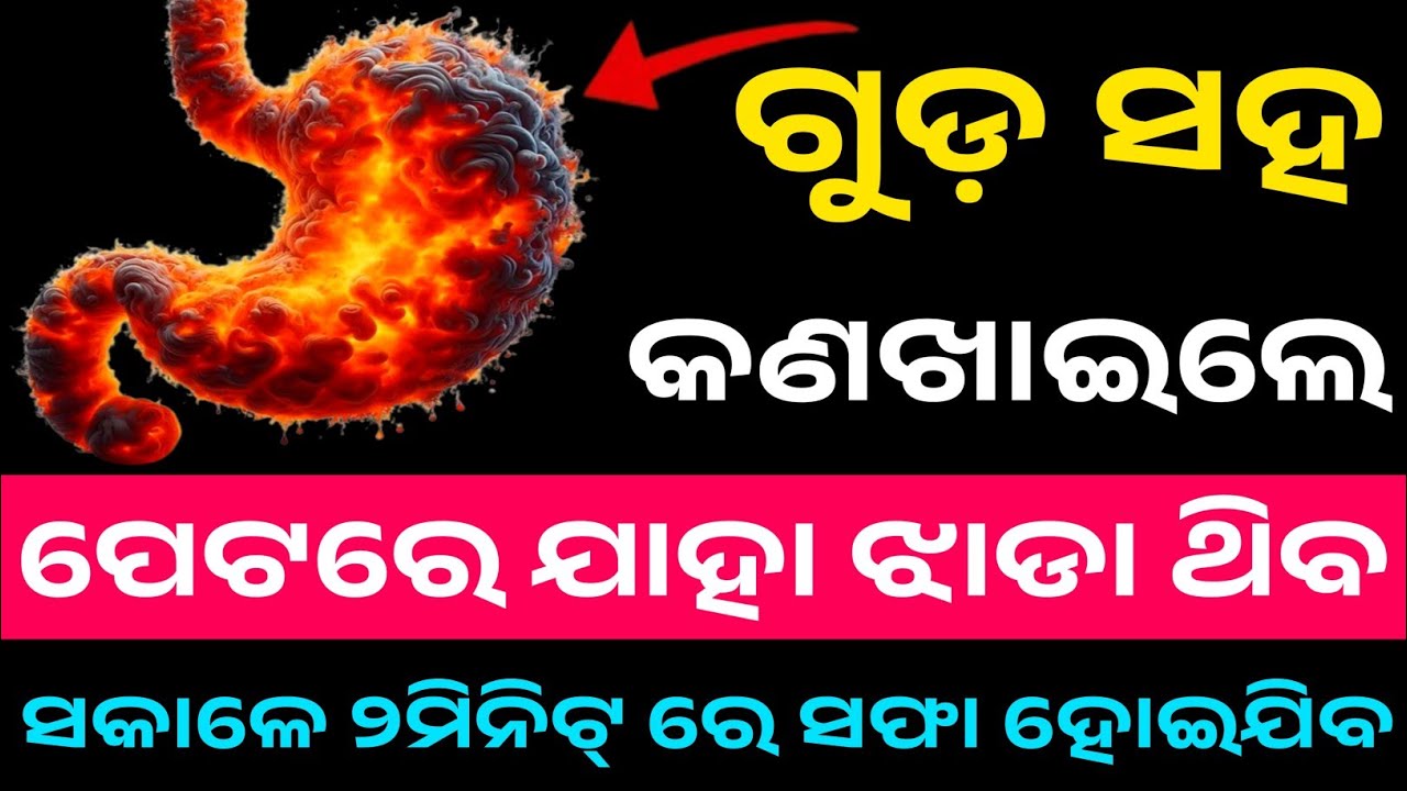Odia GK 2025 | ଏହି ତଥ୍ୟ ଜାଣିଲେ ଆପଣ ମଧ୍ୟ ଆଶ୍ଚର୍ଯ୍ୟ ହେବେ! 😱 | General Knowledge Odia 