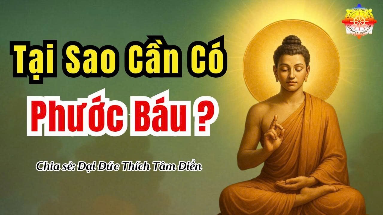 Lesson 197: Why Do We Need Merit? | Thích Tâm Điển