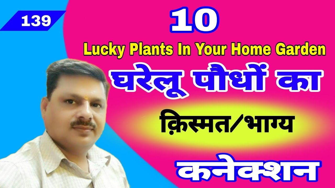 घरेलू पौधों का किश्मत कनेक्शन/10Lucky Plant's In Your Home Garden/Top10 Lucky Plants for Home