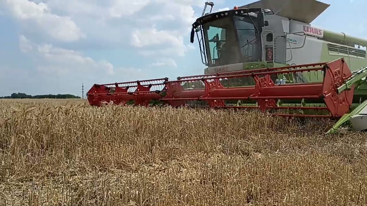 Žatva 2024 Ozimný jačmeň CLAAS LEXION 760