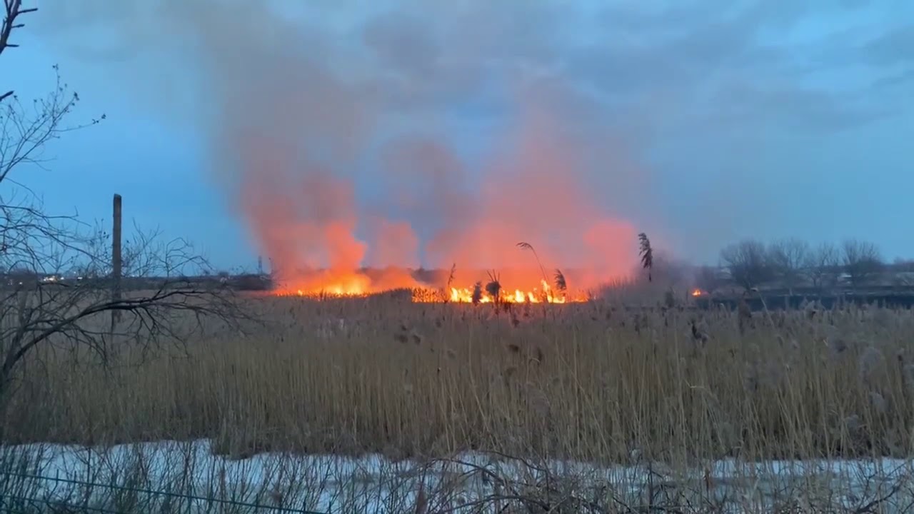 Рятувальники опублікували відео пожежі сухої трави поблизу Рівного