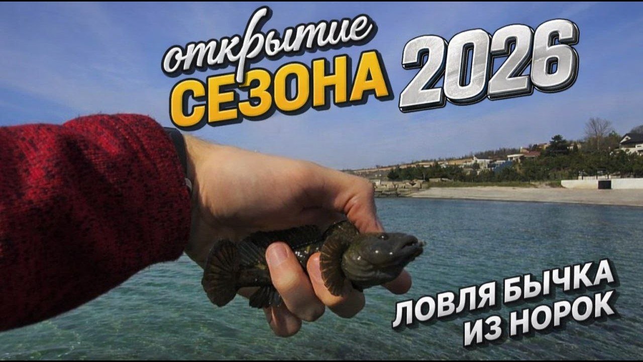 Открылся по бычку 2026