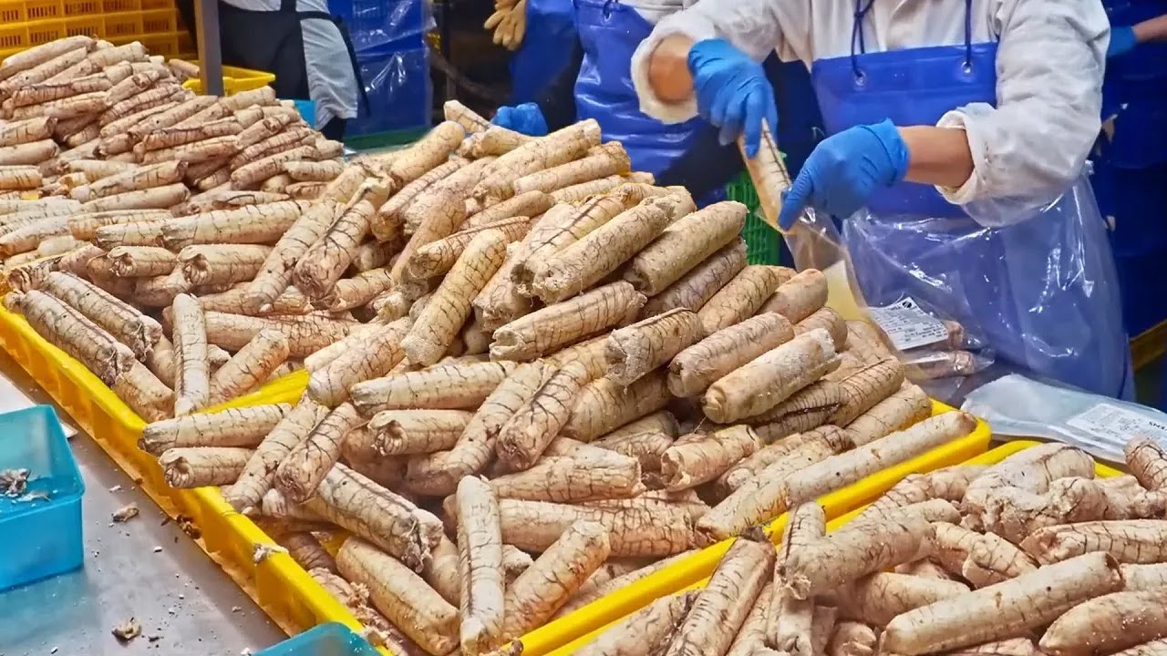 Amazing Egg Falls！ Taiwanese Mass Production Process in Food Factory  /巨量奇觀！Top ５台灣食品量產工廠 -大量魚卵,大量雞蛋