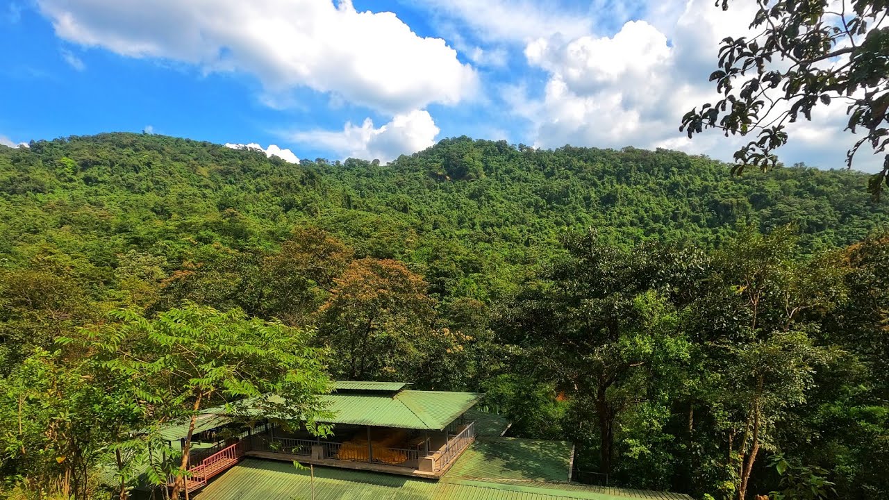 Wild-One Field Station and Nature Stay| Tilari Conservation Reserved Forest |Dodamarg