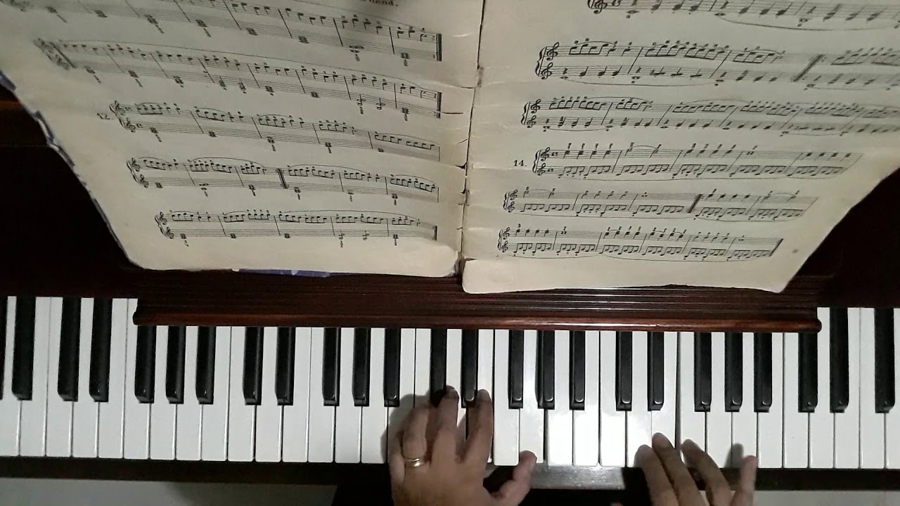Ejercicios Czerny op 599