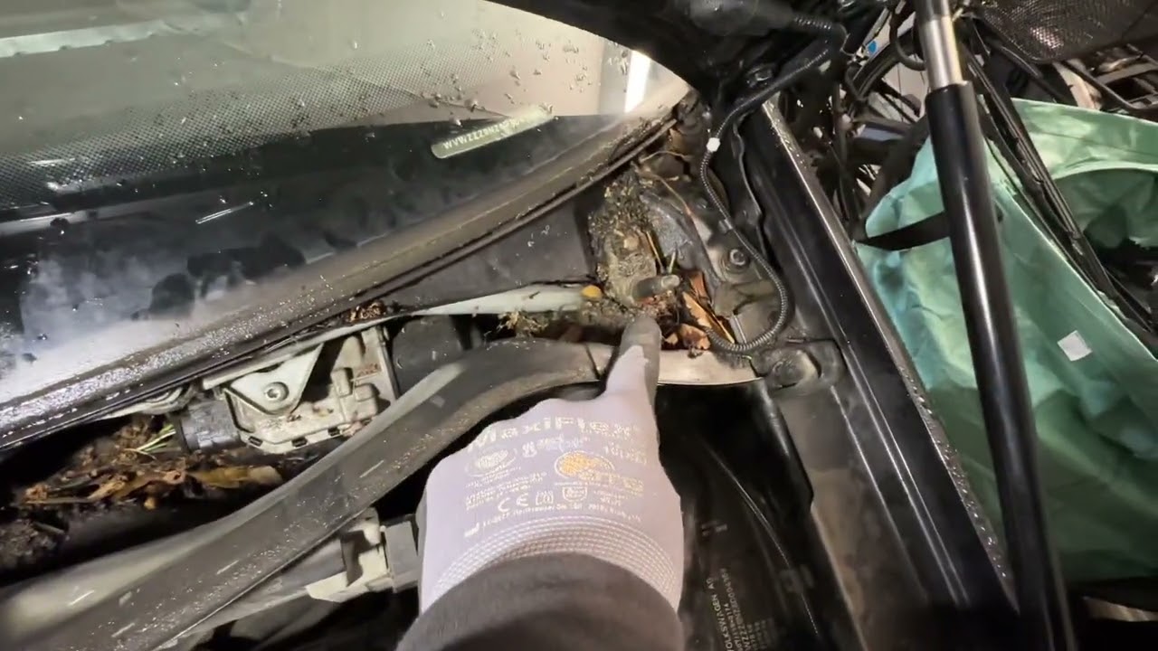 Volkswagen (VAG) Scheibenwischermotor ersetzen - VW Polo Anleitung VW Polo 4 (9N3) Anleitung