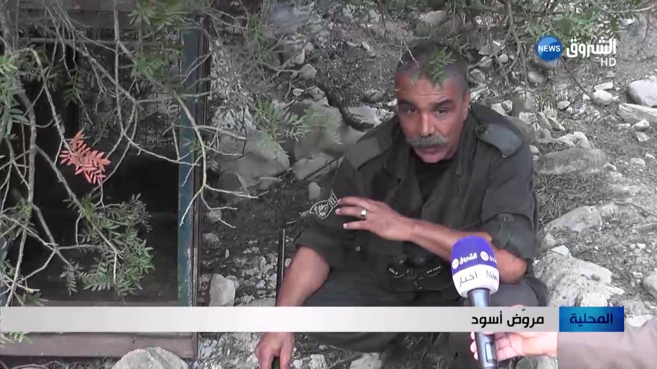 الطارف: تلاميذ يتمدرسون تحت ضغط الخوف من الأسد 