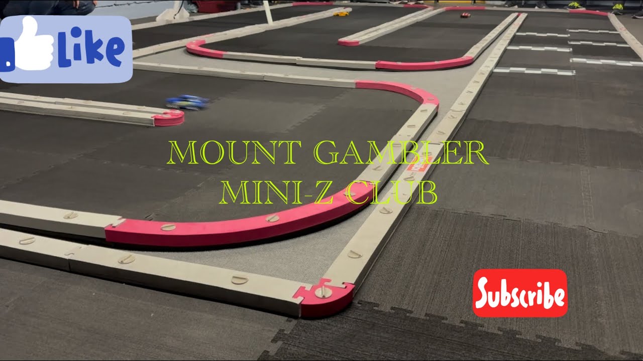 Mini-Z racing group B
