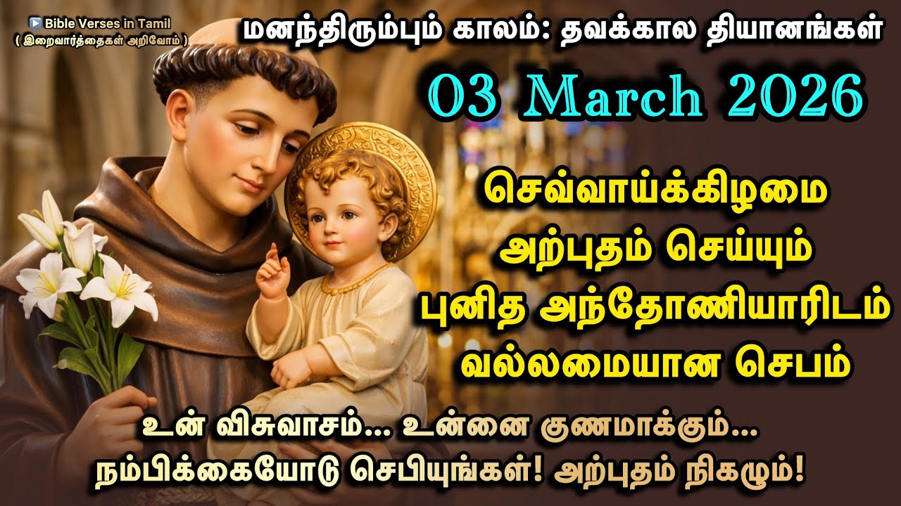 03 March | செவ்வாய் | அற்புதம் செய்யும் புனித அந்தோணியாரிடம் வல்லமையான செபம்