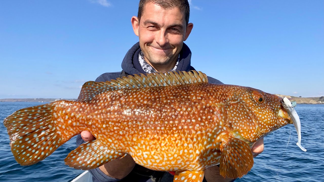 Monster PB Wrasse, Pollack and Plaice Fishing May 2021 - 200,000 Subscriber Fishing Video!