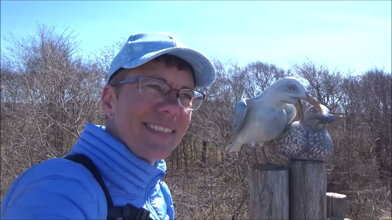 Wanderung am Strand von Dierhagen nach Graal - Müritz
