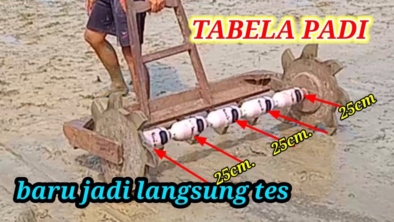 alat tabela padi jadi langsung tes Di sawah HASILNYA mantap