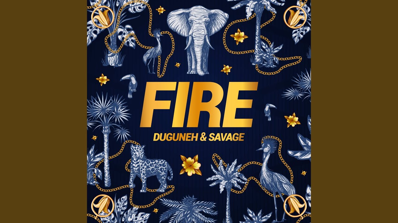 Fire