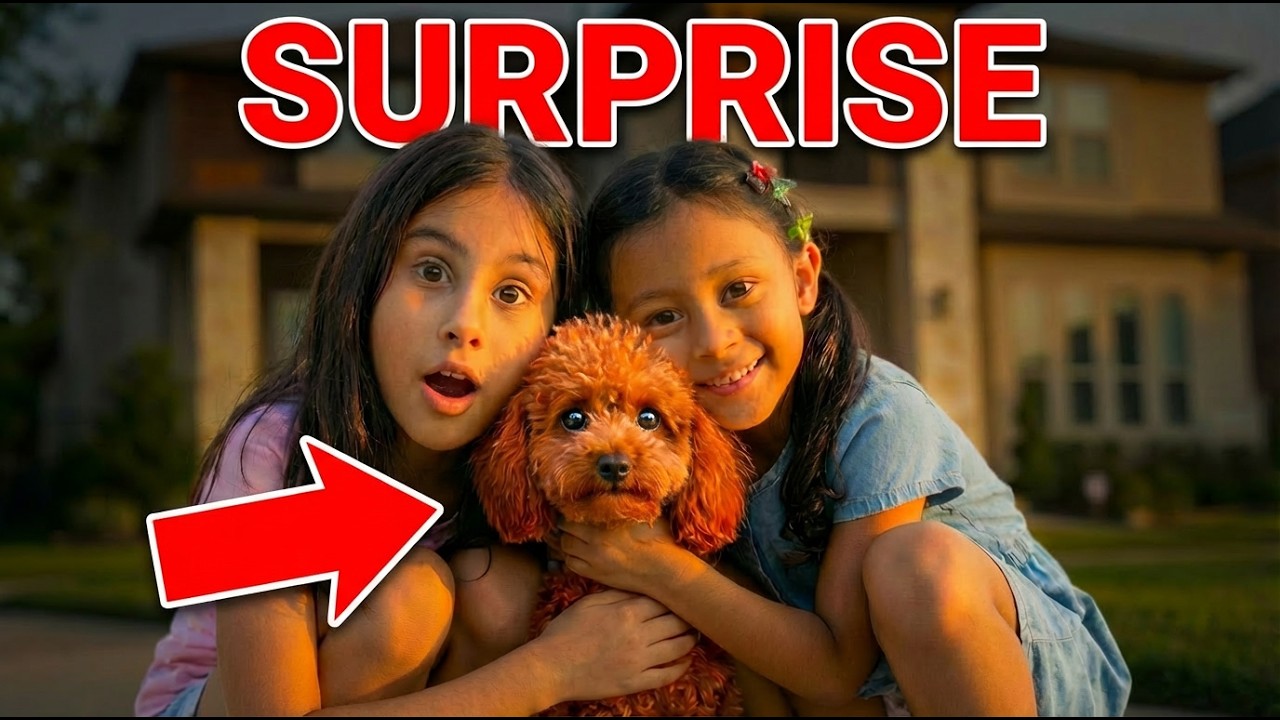 They Had No Idea What the Surprise Was…