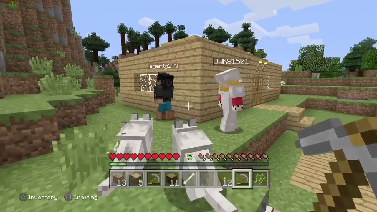 Minecraft having a good time part 1