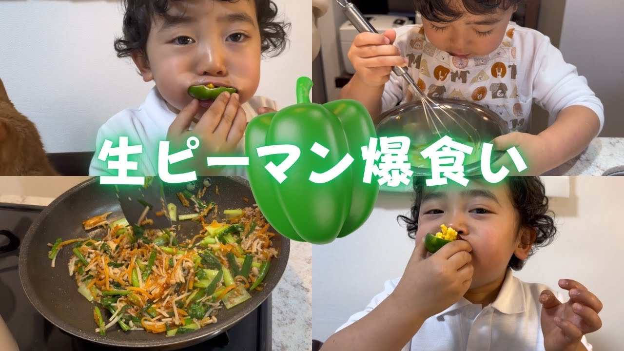 生ピーマンを爆食いする3歳児🫑✨