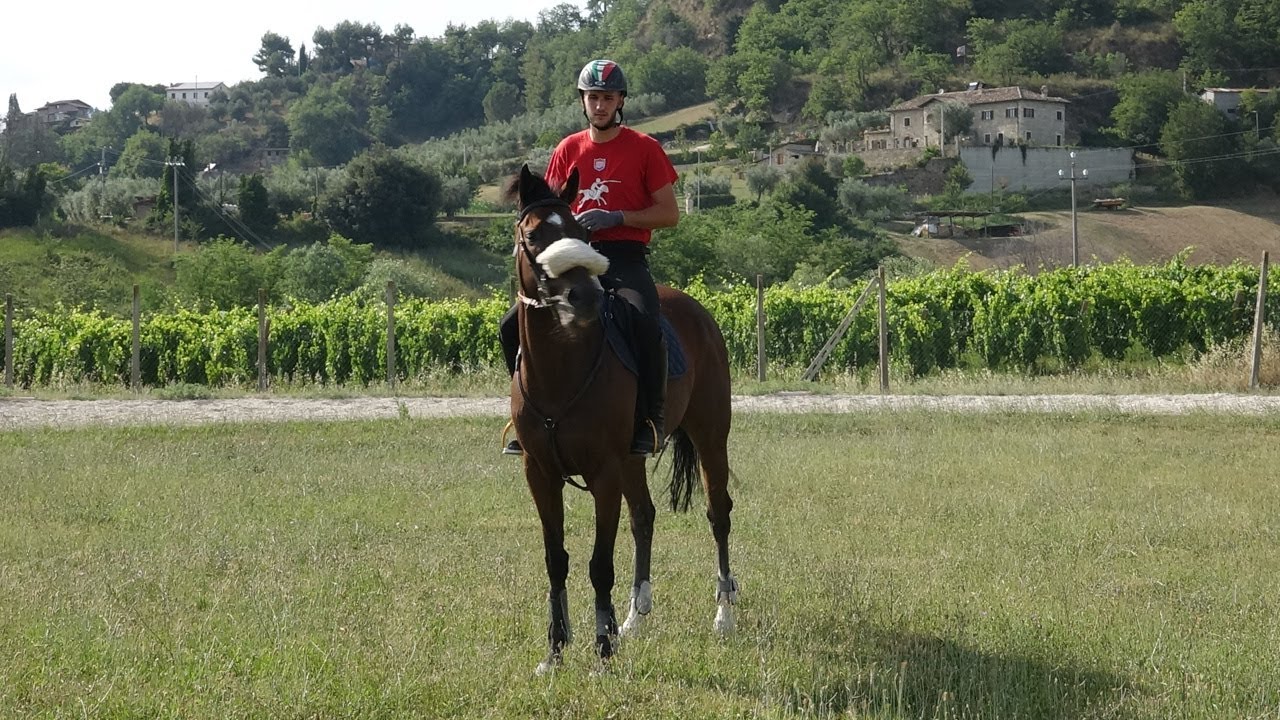 Quintana di Ascoli, Lorenzo e Franco Melosso