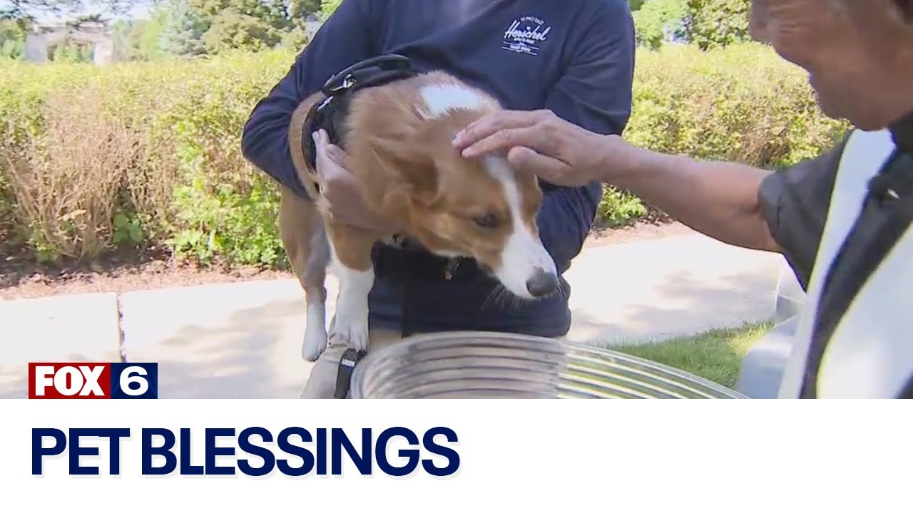 Mount Mary pet blessings unite community | FOX6 News Milwaukee