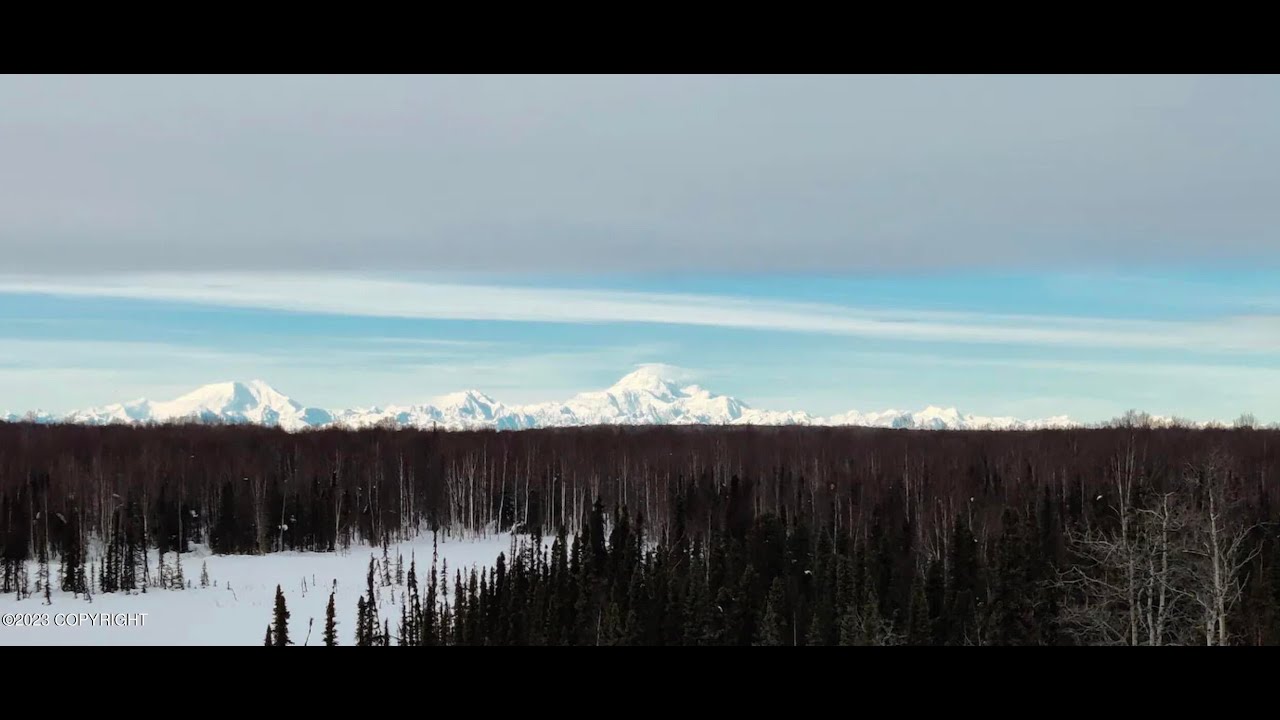 Cabins on 80 Alaskan Acres With Fantastic Denali and Alaska Range views.