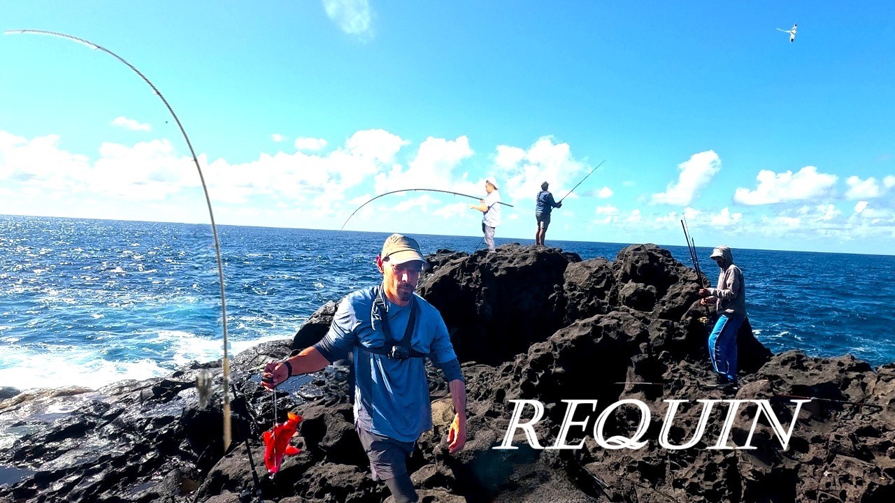 16h Sur un Spot du Bord. Pêche D'un REQUIN au VIF à la Calée (la Réunion974)