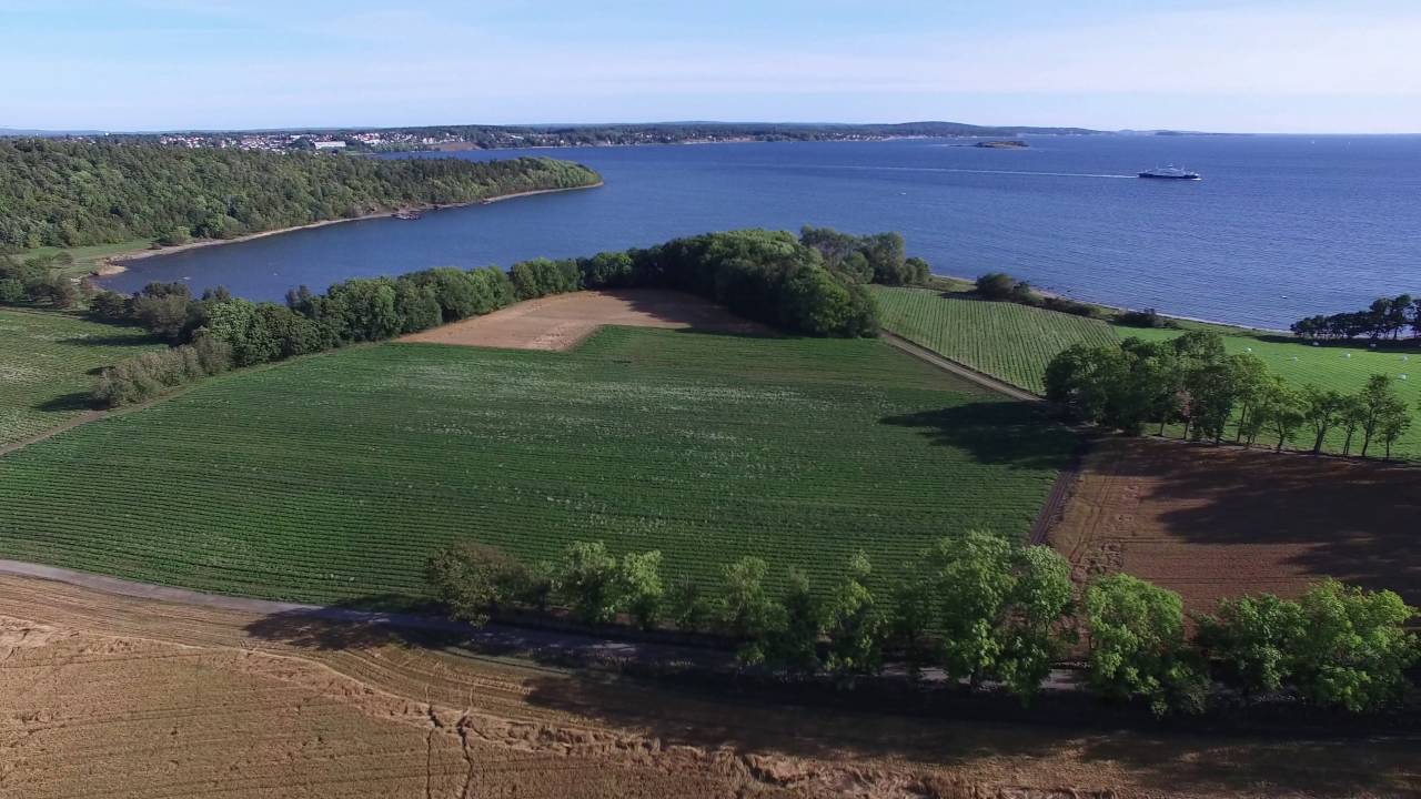 South end of Jel&oslash;ya around Gallary F15, Alby, September 2016, by Dag Eriksen