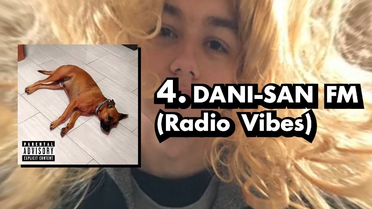 DANI SAN FM (Radio Vibes) - PanaJG | Road To Manhattan: Cambio de Destino (Visualizer)