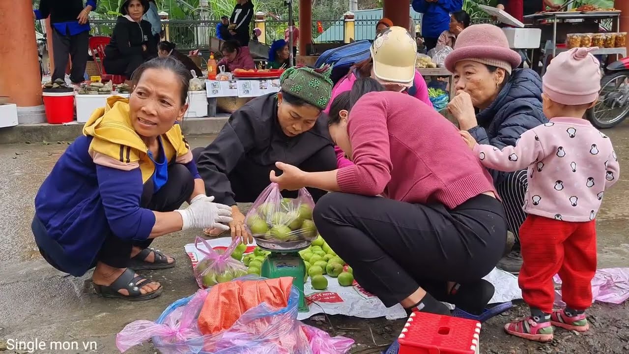 30 Year Old Single Mother - Harvesting Sweet Apples Goes to the market sell | Single Mom VN