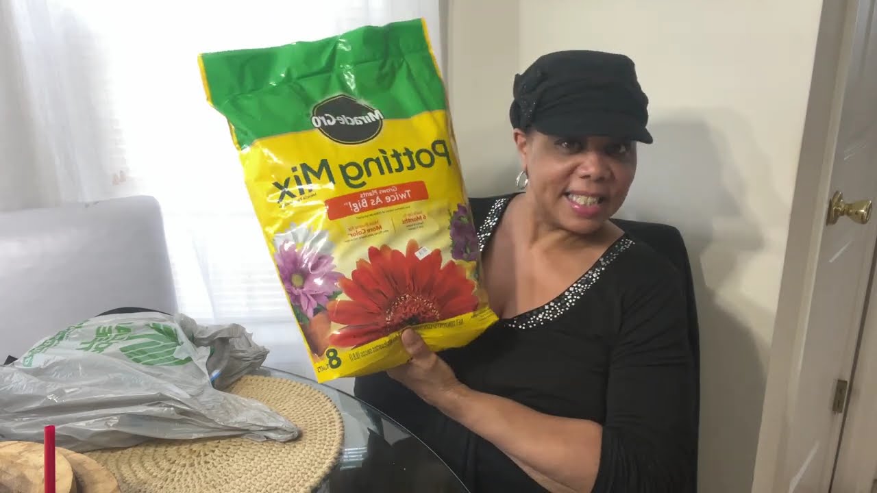 Dollar Tree Haul | Home & Garden | Living Tastefully For Less