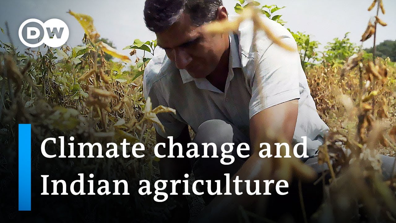 New monsoon forecasts in India | Global Ideas
