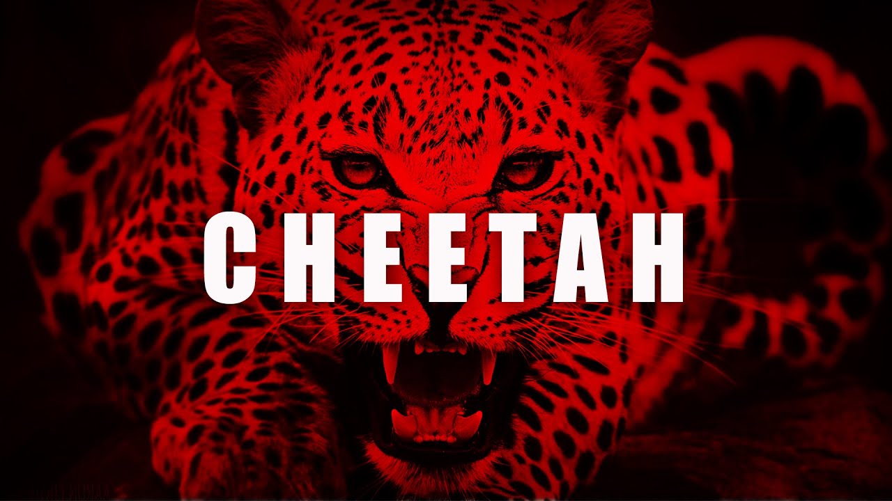 Club Trap Rap Beat Instrumental ''CHEETAH'' Tyga Type x Offset Type Club Beat