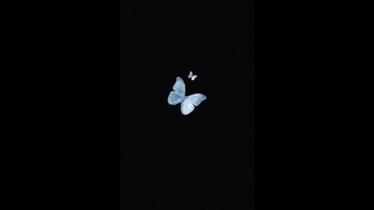 (FREE) Zamdane &  mademoiselle lou Type Beat ~Le bonheur d'un vautour~